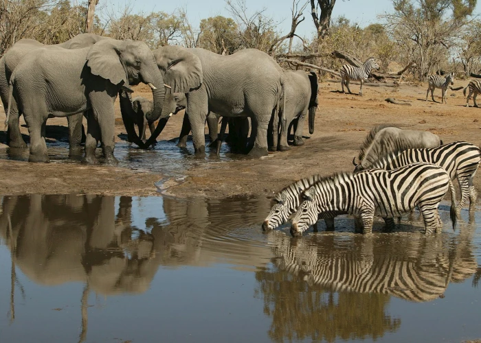 jabulani private expeditions 27